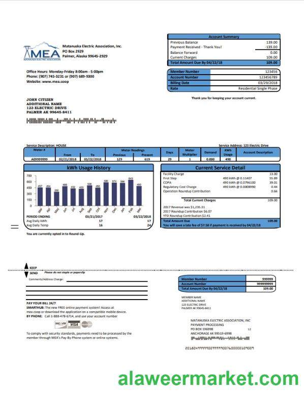 USA MEA Alaska electricity utility bill template in Word and PDF format